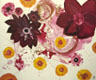 Flowers in Red
